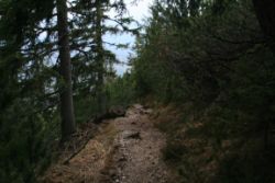 2011-04-24_Regina-F-Rau_Brunnstein-Spitze (294).JPG